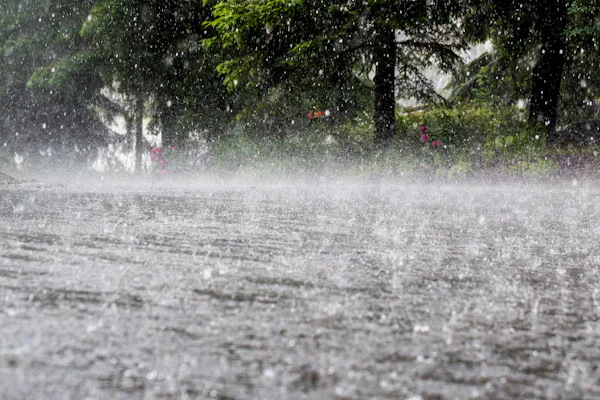 Zware regenval op straat.