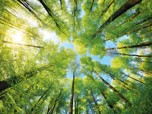 Unsere CO2-Bilanz haben wir nach dem durch das World... Unsere CO2-Bilanz haben wir nach dem durch das World Resources Institute (WRI) und den World Business Council for Sustainable Development (WBCSD) entwickelte Greenhouse Gas Protocol (GHG) berechnet....