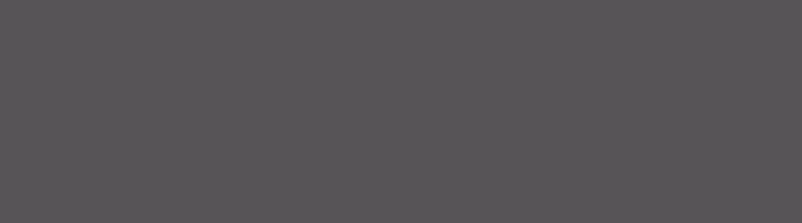 CH 703 Anthrazit metallic** CH 703 Anthrazit metallic**