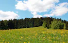 Zukunft im Blick Zukunft im Blick