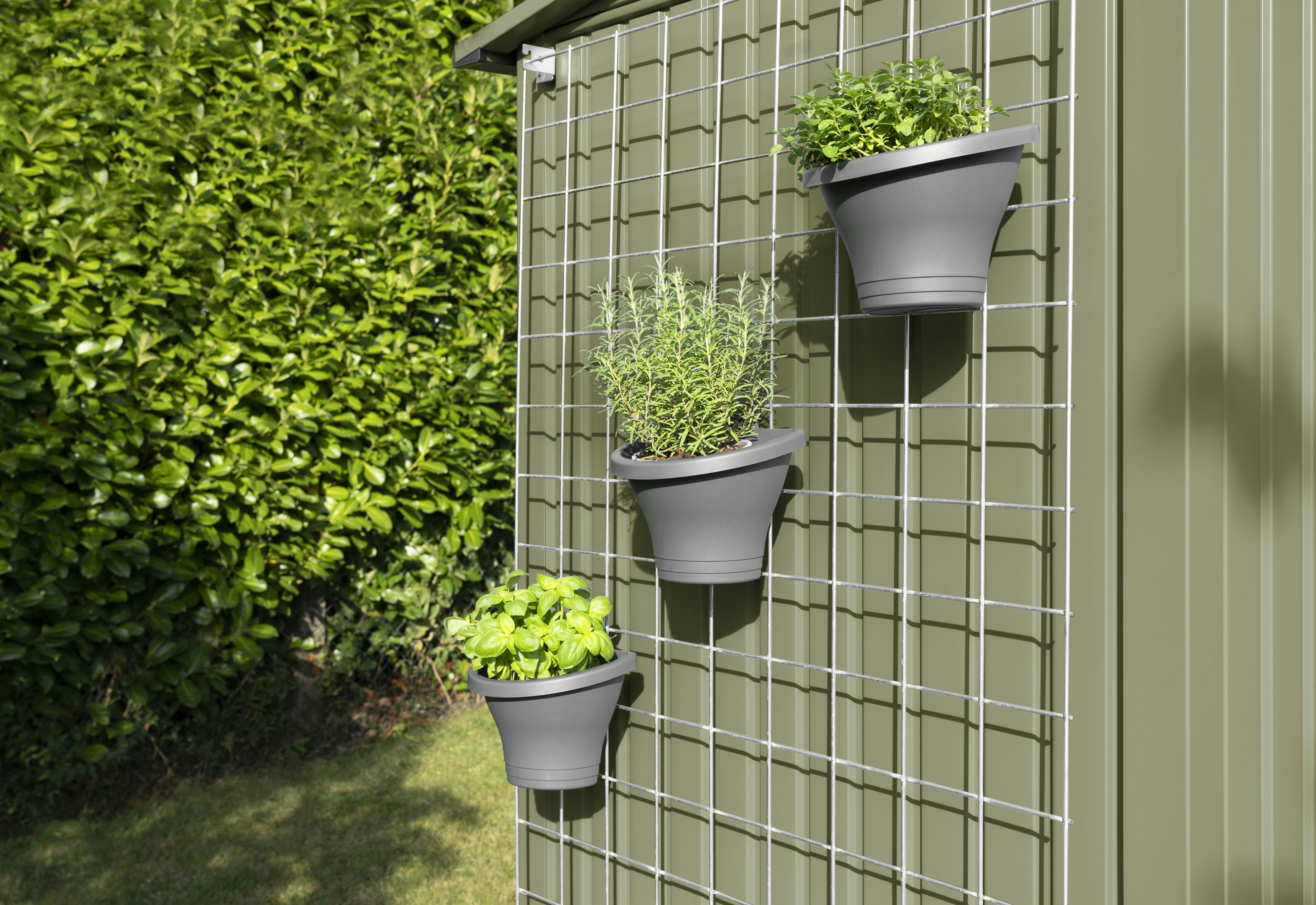 Trellis
Do you want to make your tool shed look nicer with... Trellis
Do you want to make your tool shed look nicer with plants? Then we have a sturdy trellis on offer for you, which can be easily fixed to the exterior wall of the tool shed.