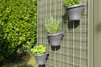 Met dat beetje extra wordt uw tuinhuis nog handiger. Of u nu... Met dat beetje extra wordt uw tuinhuis nog handiger. Of u nu uw fiets veilig wilt stallen, gereedschap altijd bij de hand wilt hebben, regenwater wilt opvangen of uw lievelingsplant weelderig wilt...