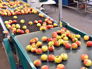 Logistik und Spedition: effiziente Verladung in... Logistik und Spedition: effiziente Verladung in Güterumschlagzentren, Lagerhäusern und Frachtterminals – mit Fokus auf sichere Arbeitsbedingungen, optimalen Warenfluss und reibungslose...