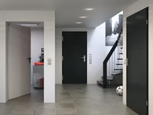 Kvalitné dvere z ocele: na zabezpečený vstup do pivnice, do...