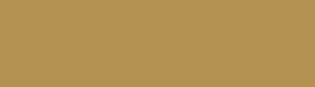 Brown Beige - RAL 1011 Brown Beige - RAL 1011