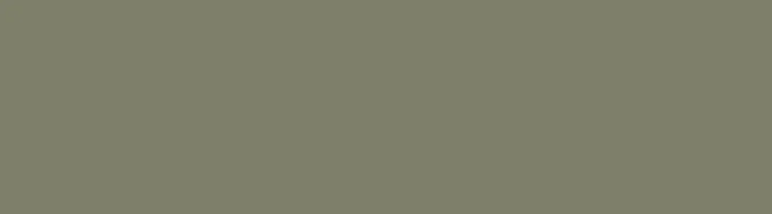 Moss Grey - RAL 7003 Moss Grey - RAL 7003